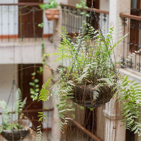 Hotel Don Quijote Plaza - Guadalajara Centro Historico Εξωτερικό φωτογραφία